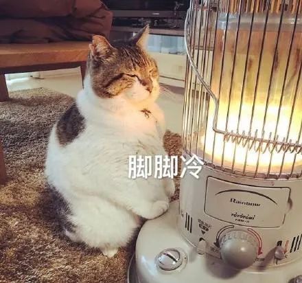 特别保暖的绒毛,超厚绒保暖