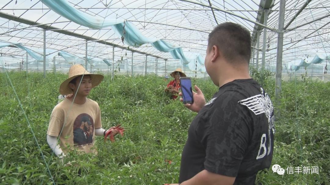 赣南农特产品最新政策,双十一激活电商产业链