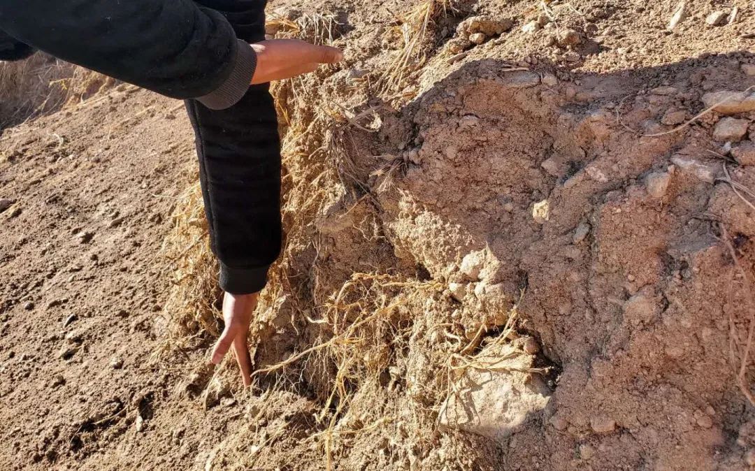 国道埋尸案,国道埋尸案最终结局