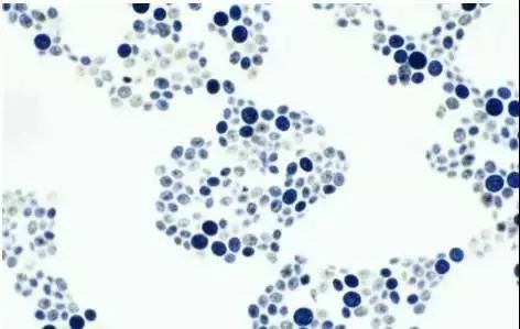 华山医院身体乳推荐,华山医院身体乳