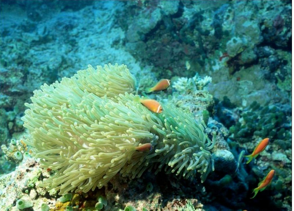 华山医院身体乳推荐,华山医院身体乳