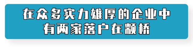 颛桥镇生活日记——得力、盘石，又两家大企业入驻颛桥！是什么如此吸引他们？