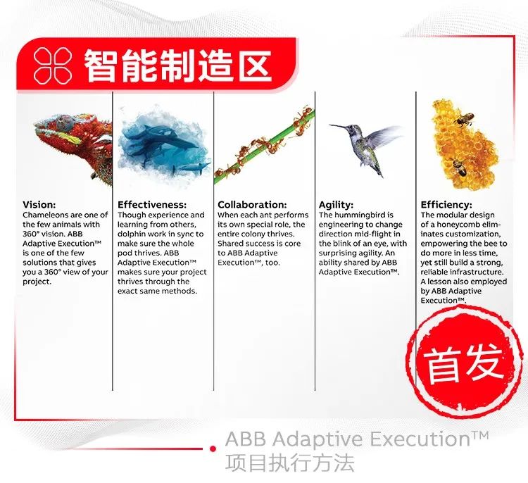 ABB的上海情缘：汇聚全球创新，赋能产业升级