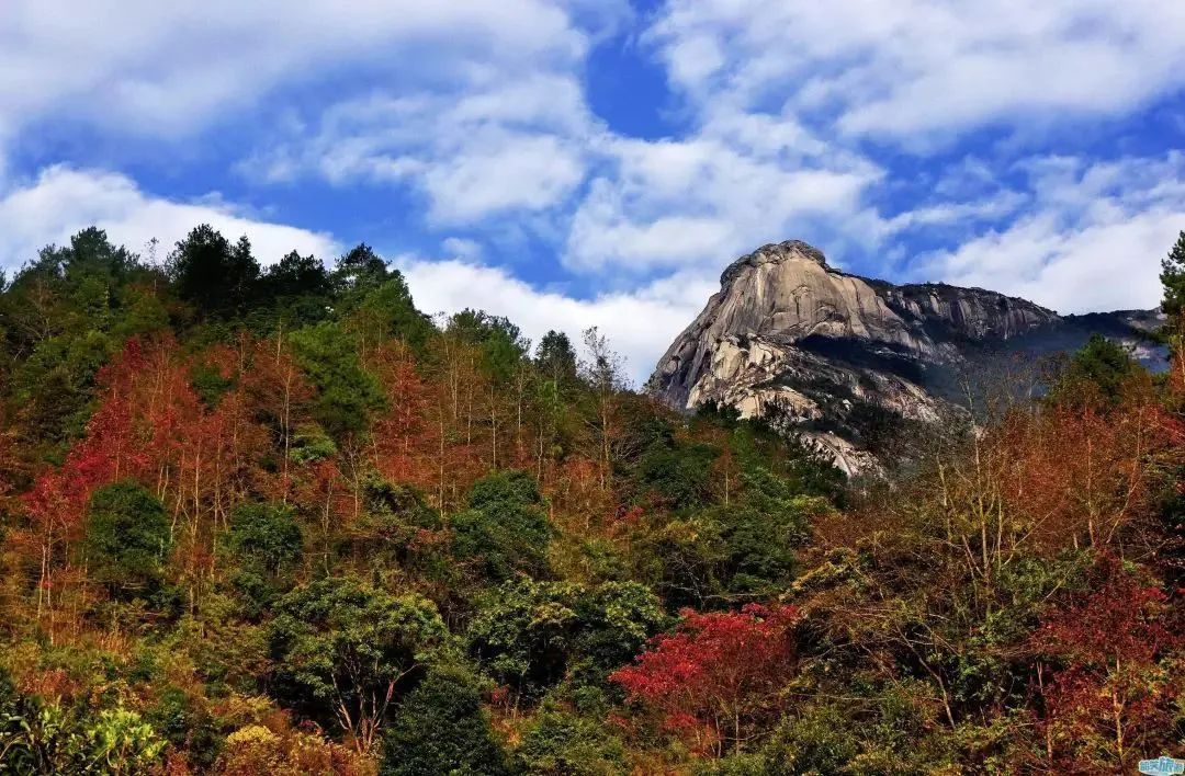 广东不属于珠三角的地方,广东不止只有猪脚饭还有烧鸭