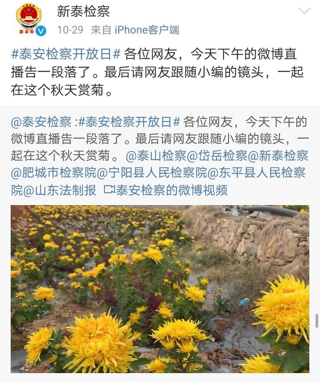微博直播是什么,动态直播间啥意思