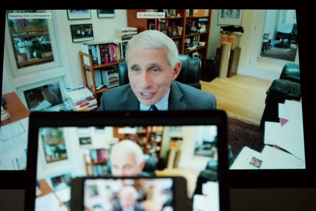 安东尼福奇肯尼迪,安东尼福奇特朗普