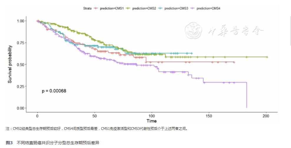 转移性结直肠癌基因分型,结直肠癌病理组织学分级