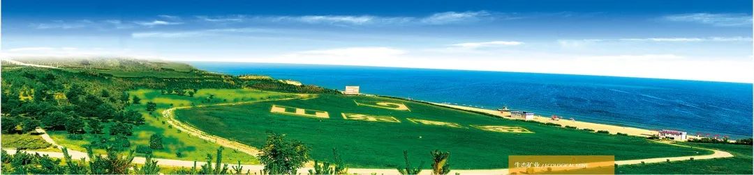 中国金都山东招远,中国金都