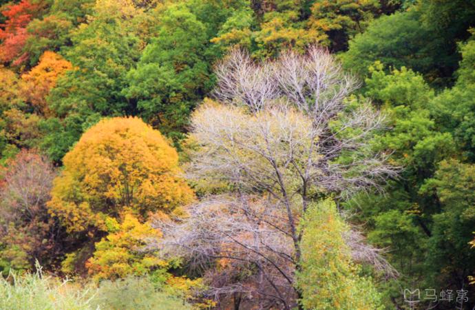 “云上高速”来了！成都5.5小时飙拢青海，沿线一大波“神仙”景点，每站都是大美风光片