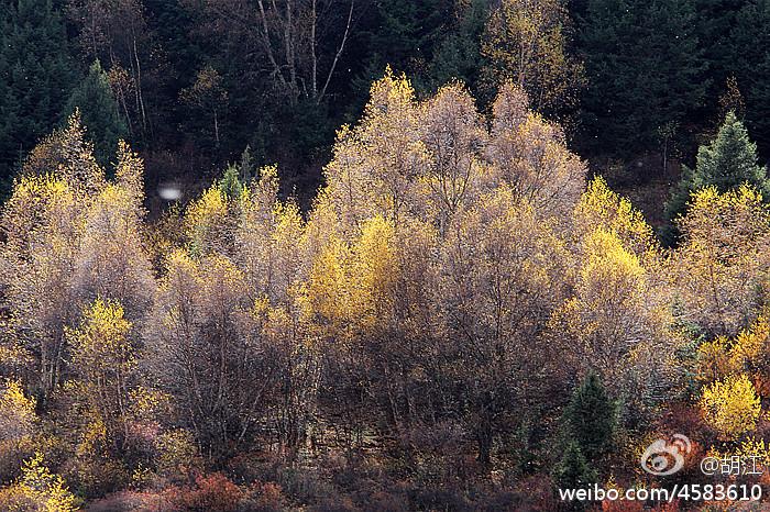 “云上高速”来了！成都5.5小时飙拢青海，沿线一大波“神仙”景点，每站都是大美风光片