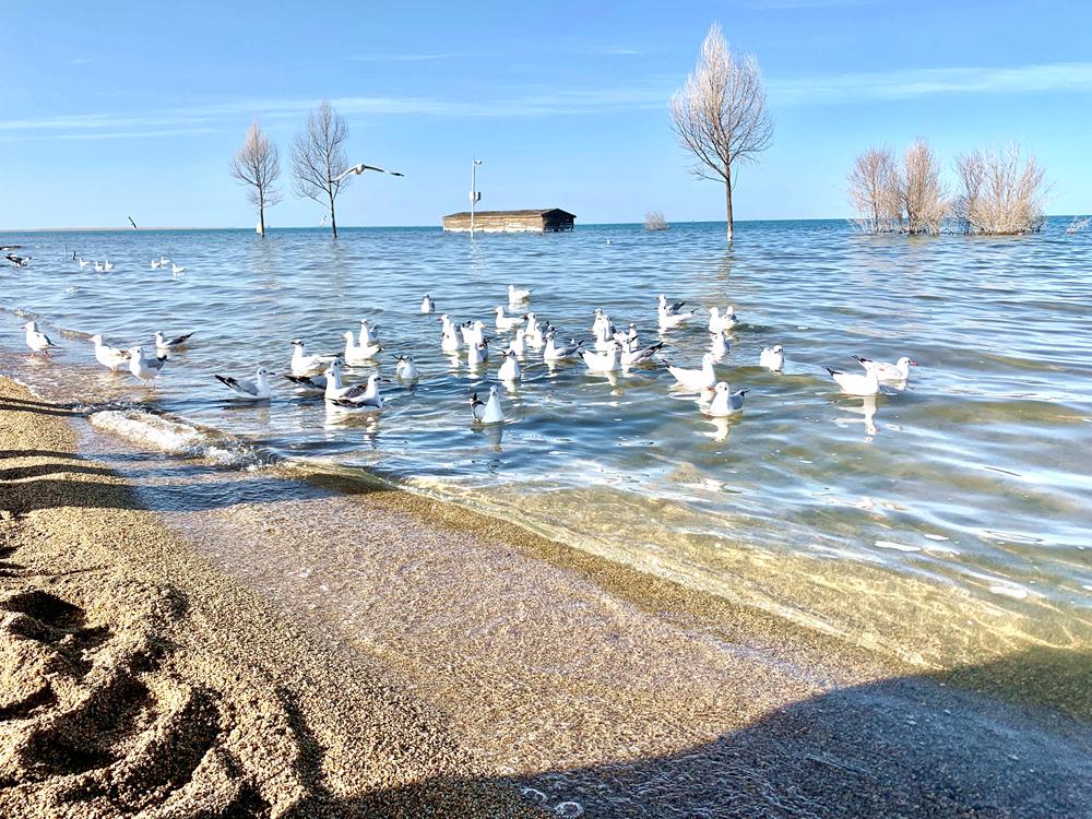 “云上高速”来了！成都5.5小时飙拢青海，沿线一大波“神仙”景点，每站都是大美风光片