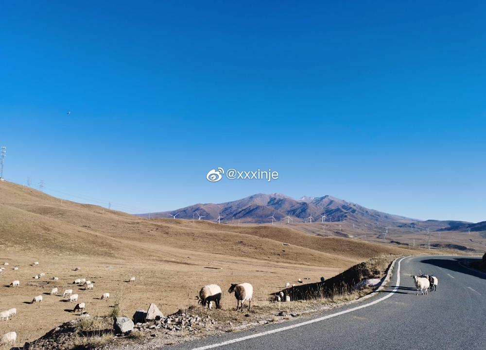 “云上高速”来了！成都5.5小时飙拢青海，沿线一大波“神仙”景点，每站都是大美风光片