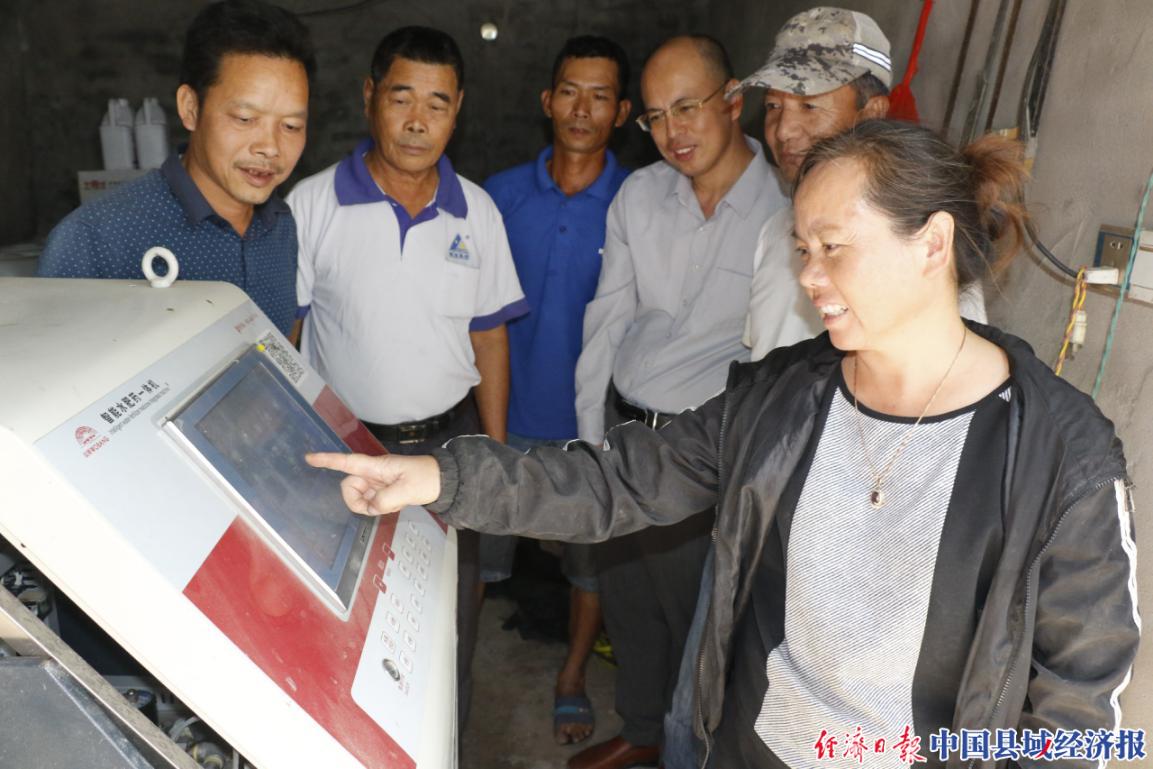 宁化大棚蔬菜种植,漳州市大棚蔬菜种植