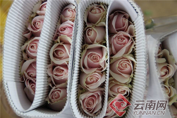 绿色发展看青海,绿色发展看福建