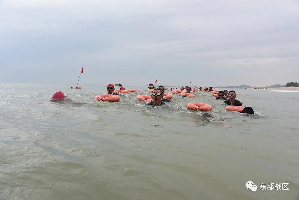 兵哥哥专项训练计划,兵哥哥创意训练图片