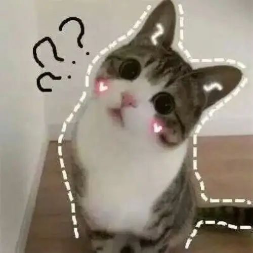 女性朋友B超前要做哪些准备？超声科主任来总结~