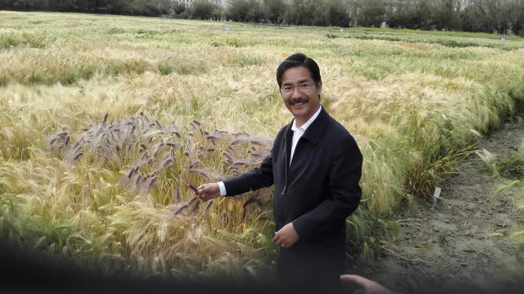 青稞博士尼玛扎西采访,青稞王子尼玛扎西讲话