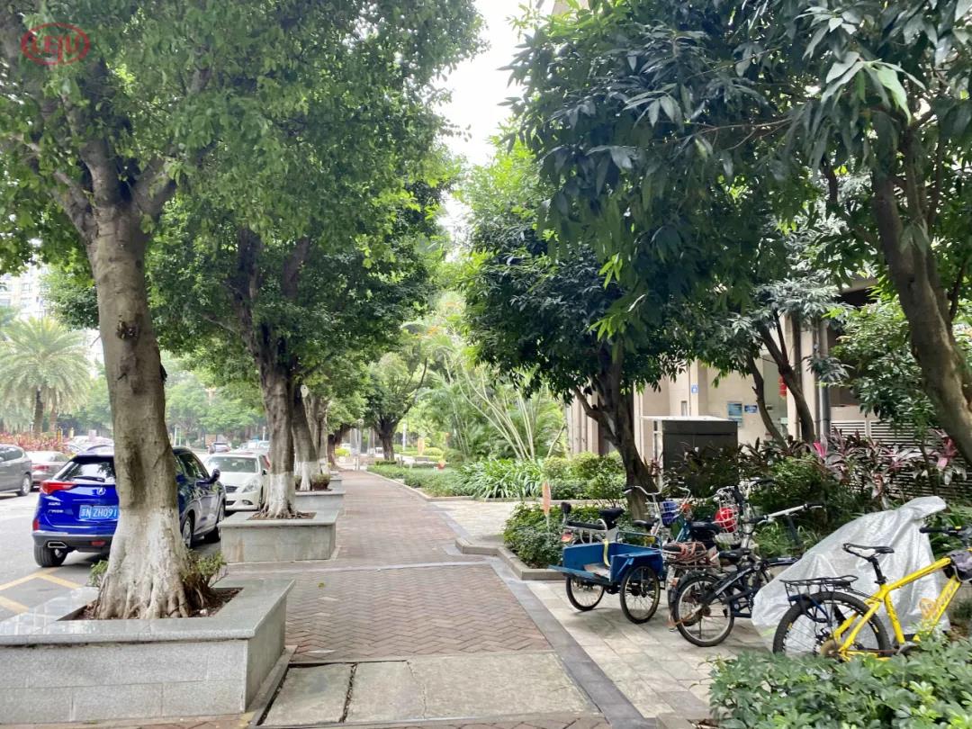 “香饽饽”琶洲：二手房有超10万+，也有3字头