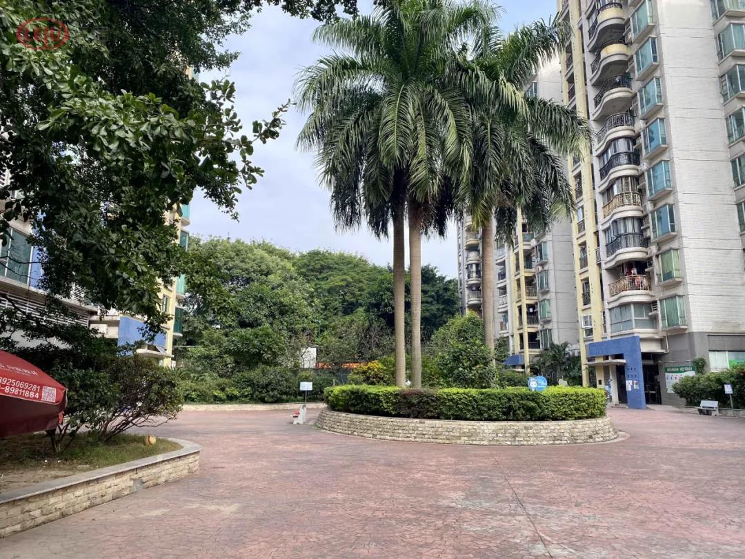 “香饽饽”琶洲：二手房有超10万+，也有3字头