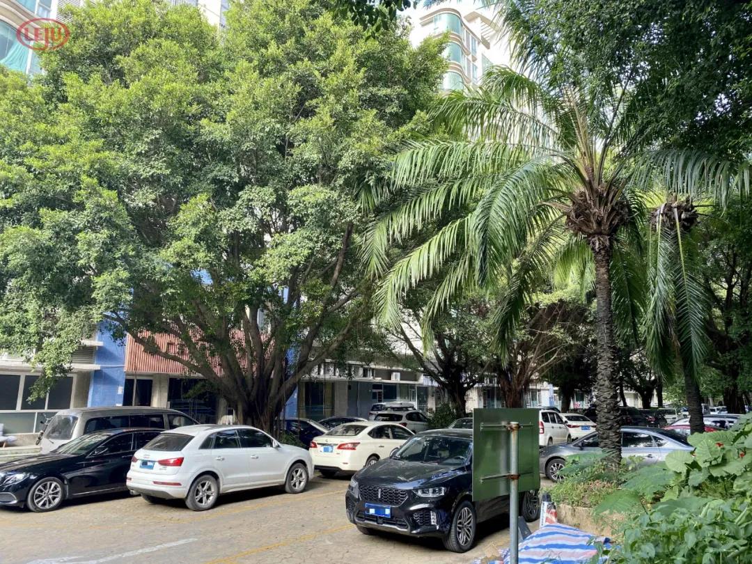 “香饽饽”琶洲：二手房有超10万+，也有3字头