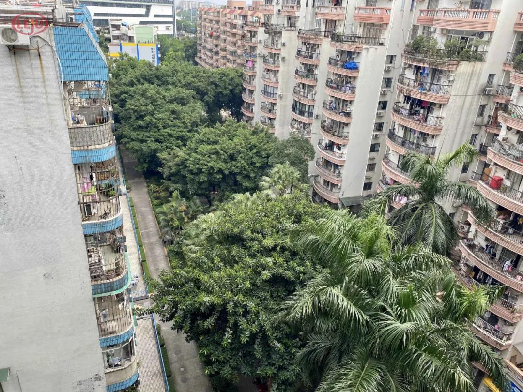 “香饽饽”琶洲：二手房有超10万+，也有3字头