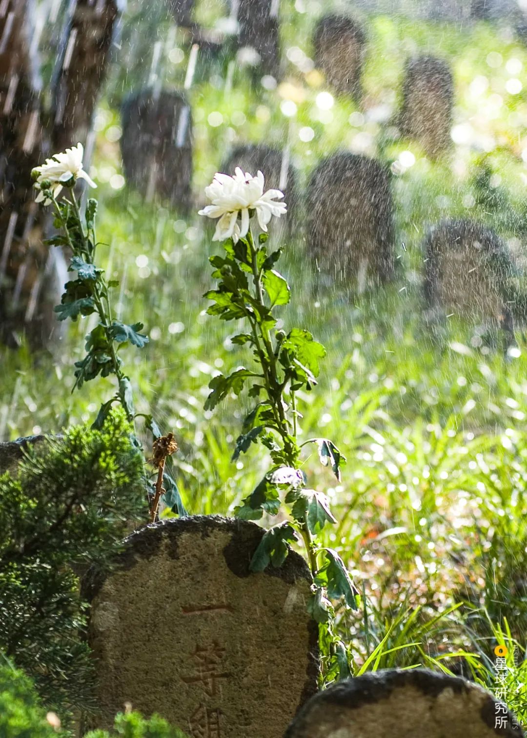 云南腾冲为什么那么独特,腾冲为什么那么出名
