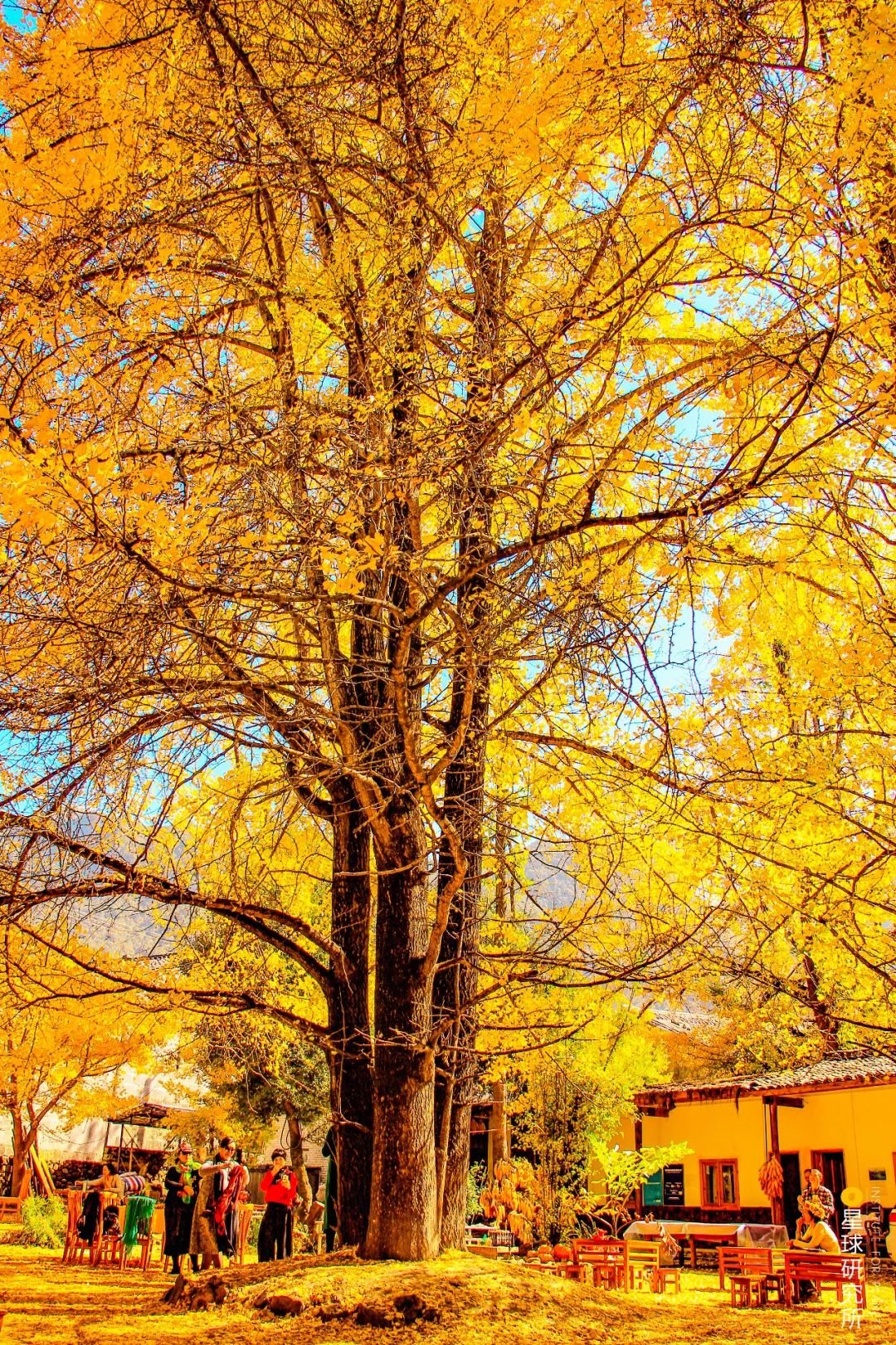 云南腾冲为什么那么独特,腾冲为什么那么出名