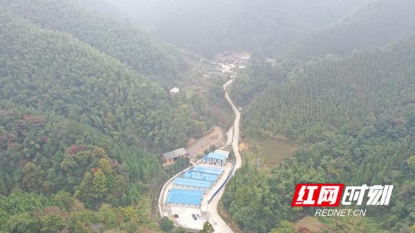 爱心扶贫助力农民早日致富,爱心收购贫困户滞销农产品