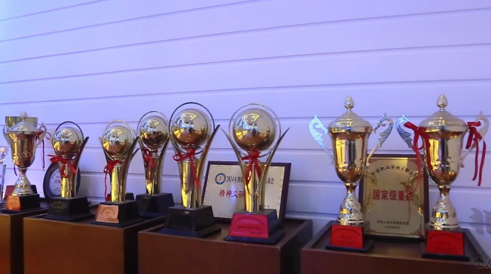 职校党建引领,职业培训学校党建工作总结