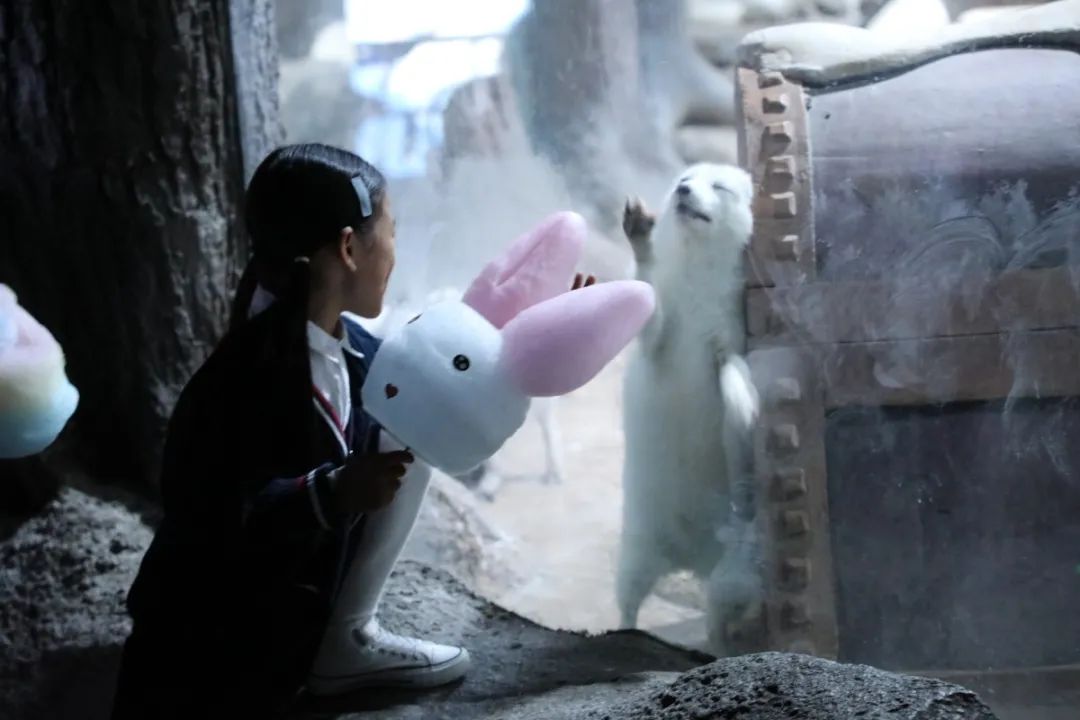 双十一特惠门票,双十一惊喜夜门票