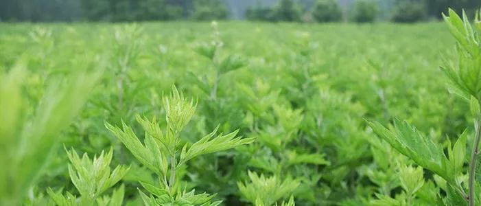 睡前做好2件小事,睡前一招搞定手脚冰凉