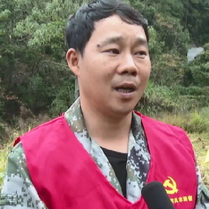 二十年荒地换“新装”！青田这个村走上致富“稻”路