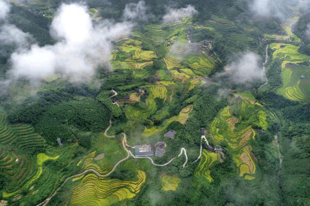 一篇迟到的推文,一篇迟到的作文