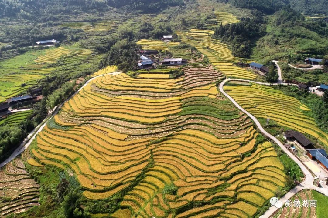 一篇迟到的推文,一篇迟到的作文