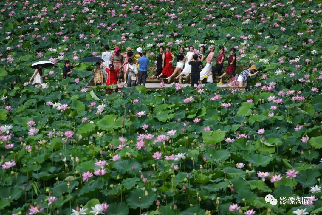 一篇迟到的推文,一篇迟到的作文