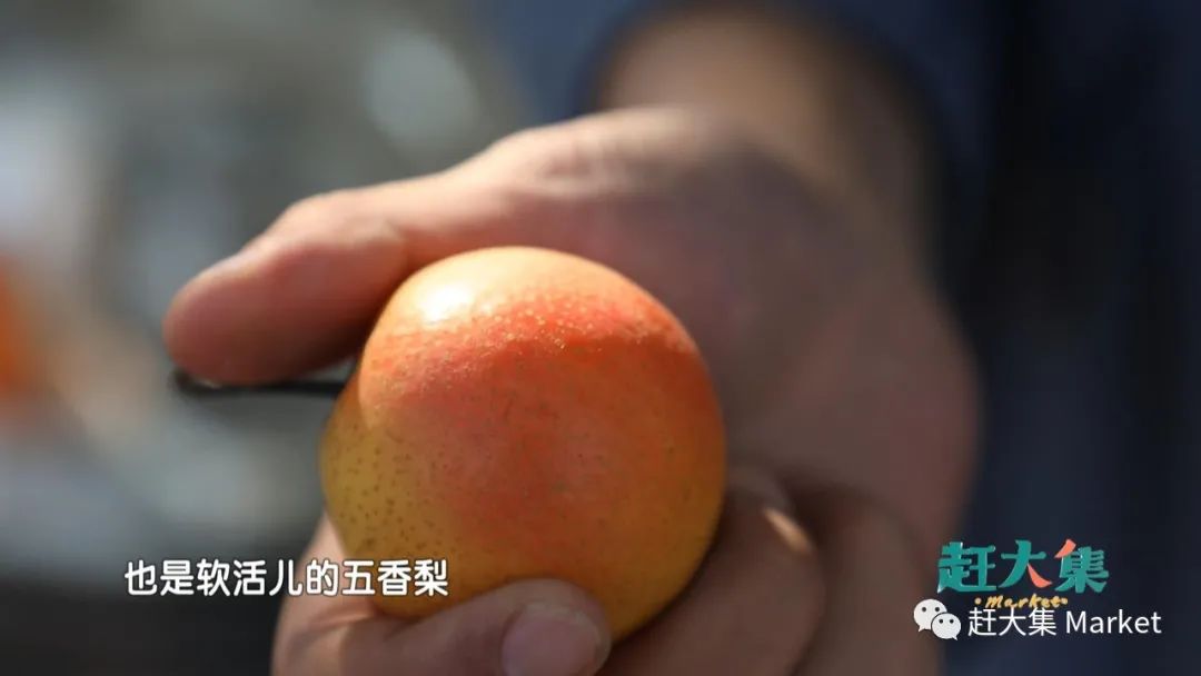 天津都市频道赶大集宁河,天津都市频道赶大集卷凉皮