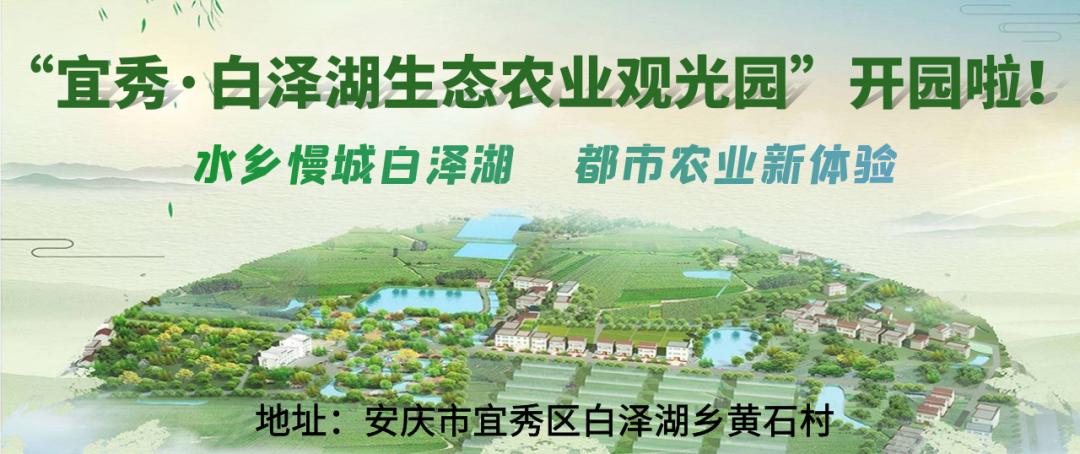 安庆绿地新里城房子怎么样,安庆绿地新里城周围有哪些楼盘