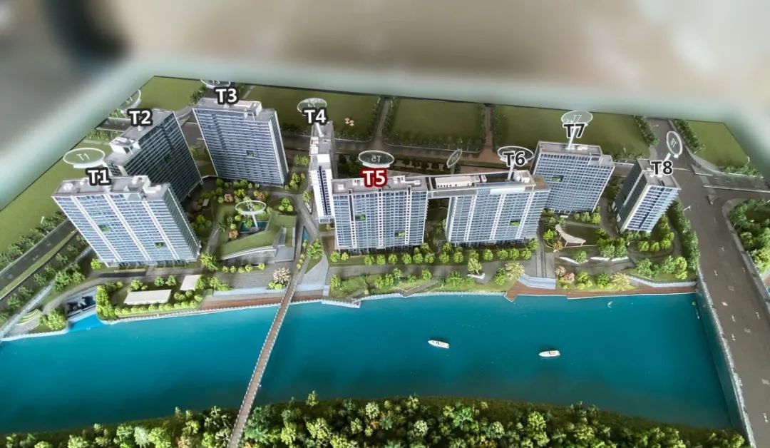 代持炒房会构成什么罪,代持二手房产有套路吗