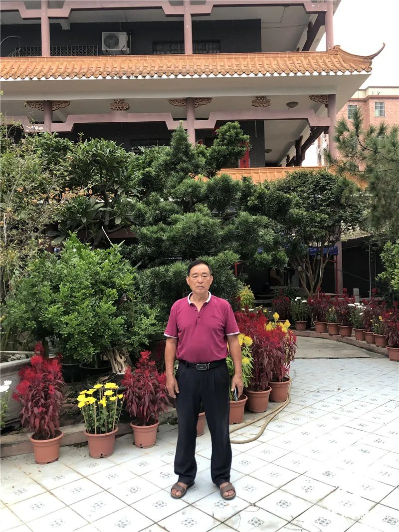 这位大沥村民连续39年自办菊花会,把日子过成诗!