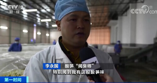 闻臭师年薪多少万,央视闻臭师年薪50万视频