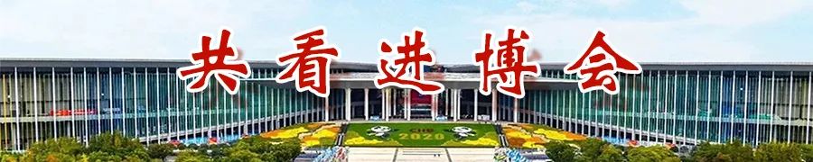 进博会溢出带动效应实施意见,进博会溢出效应国际贸易新平台