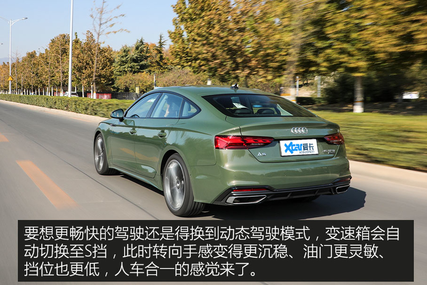 集才华与美貌于一身,集才华与美貌于一身图片