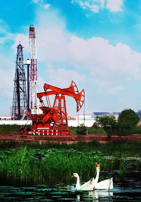 什么是东营利津,什么是东营职业学院