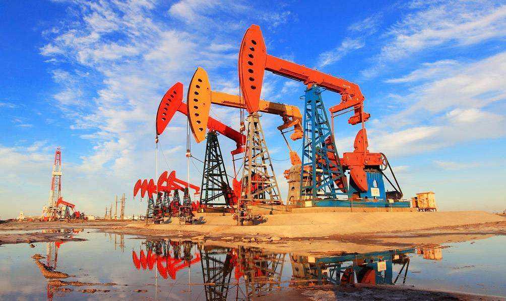 什么是东营利津,什么是东营职业学院