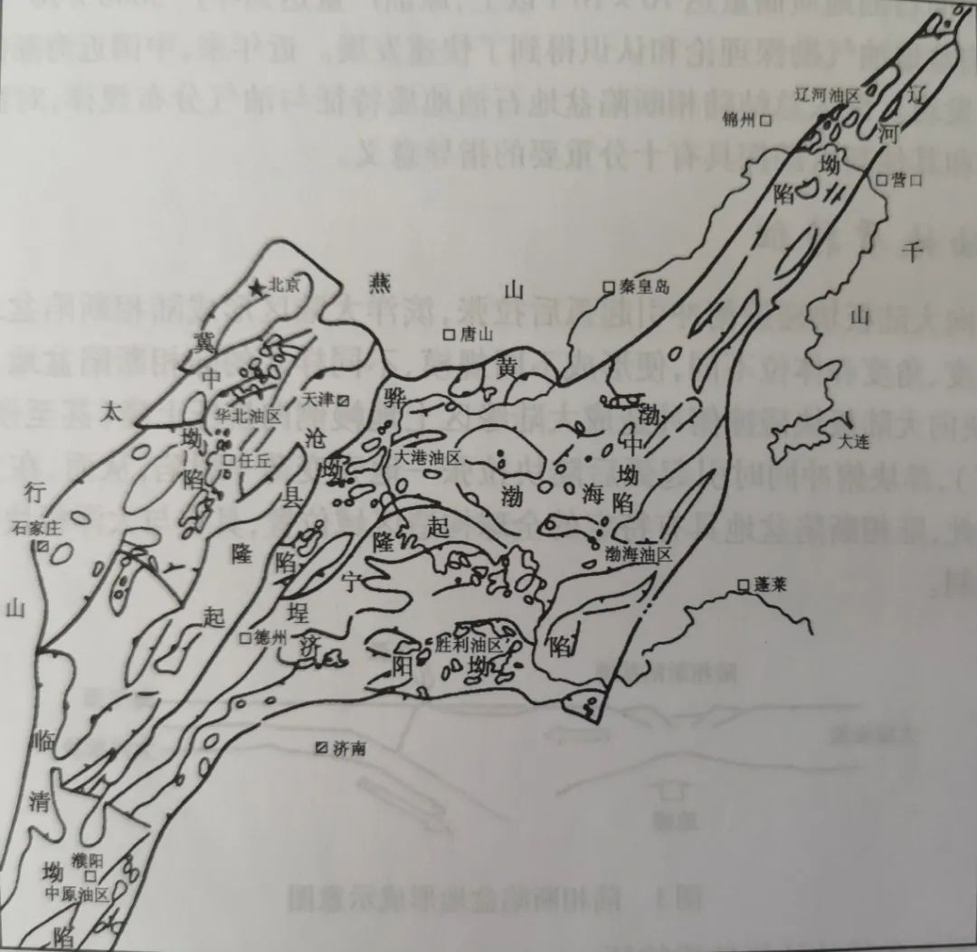 什么是东营利津,什么是东营职业学院
