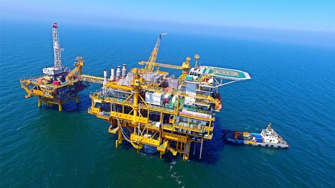 什么是东营利津,什么是东营职业学院