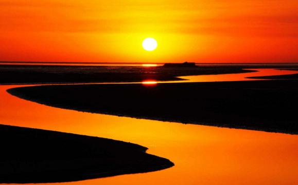 什么是东营利津,什么是东营职业学院