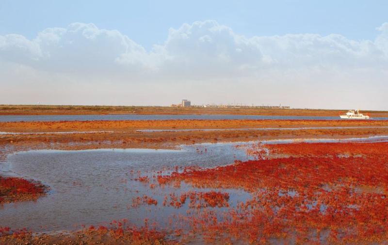 什么是东营利津,什么是东营职业学院