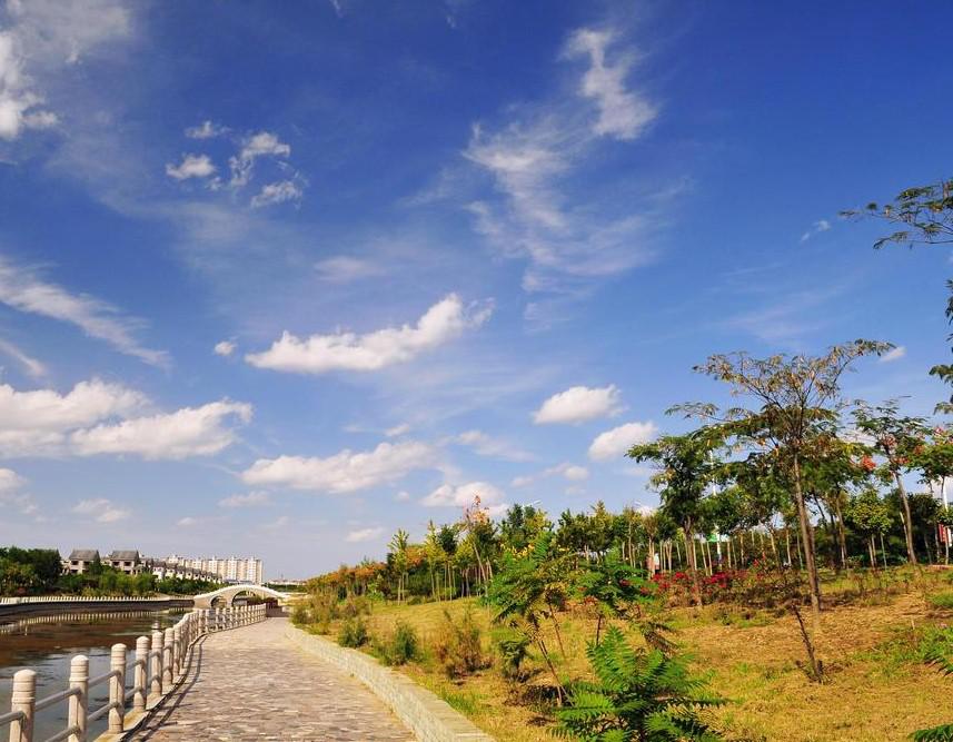 什么是东营利津,什么是东营职业学院