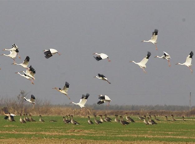 什么是东营利津,什么是东营职业学院